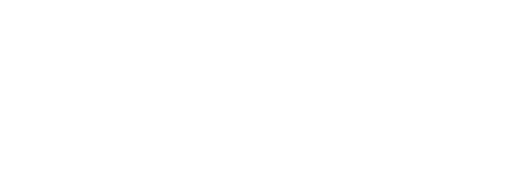 Anaconda logo